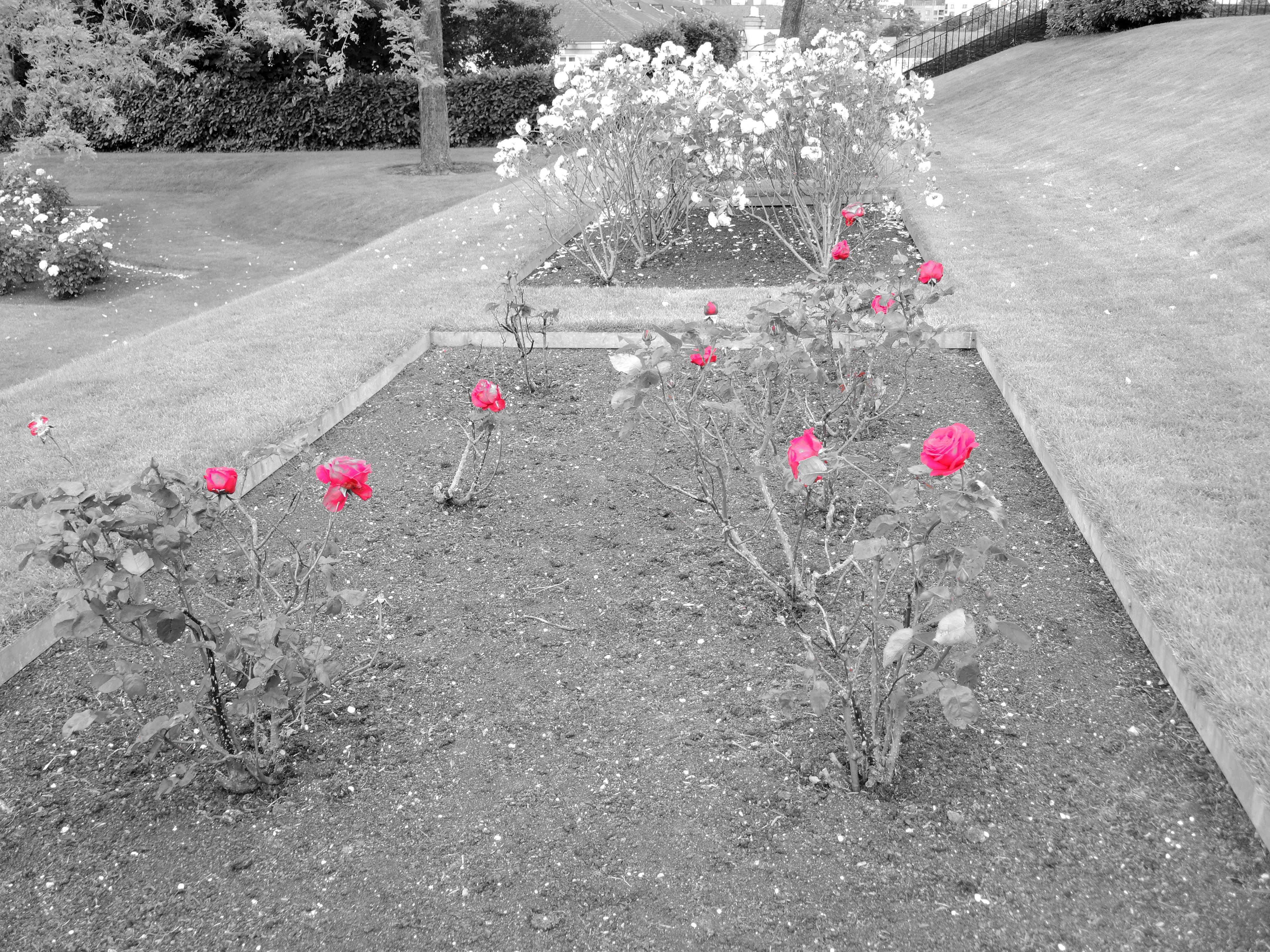 Castle Garden at Kilkenny Castle