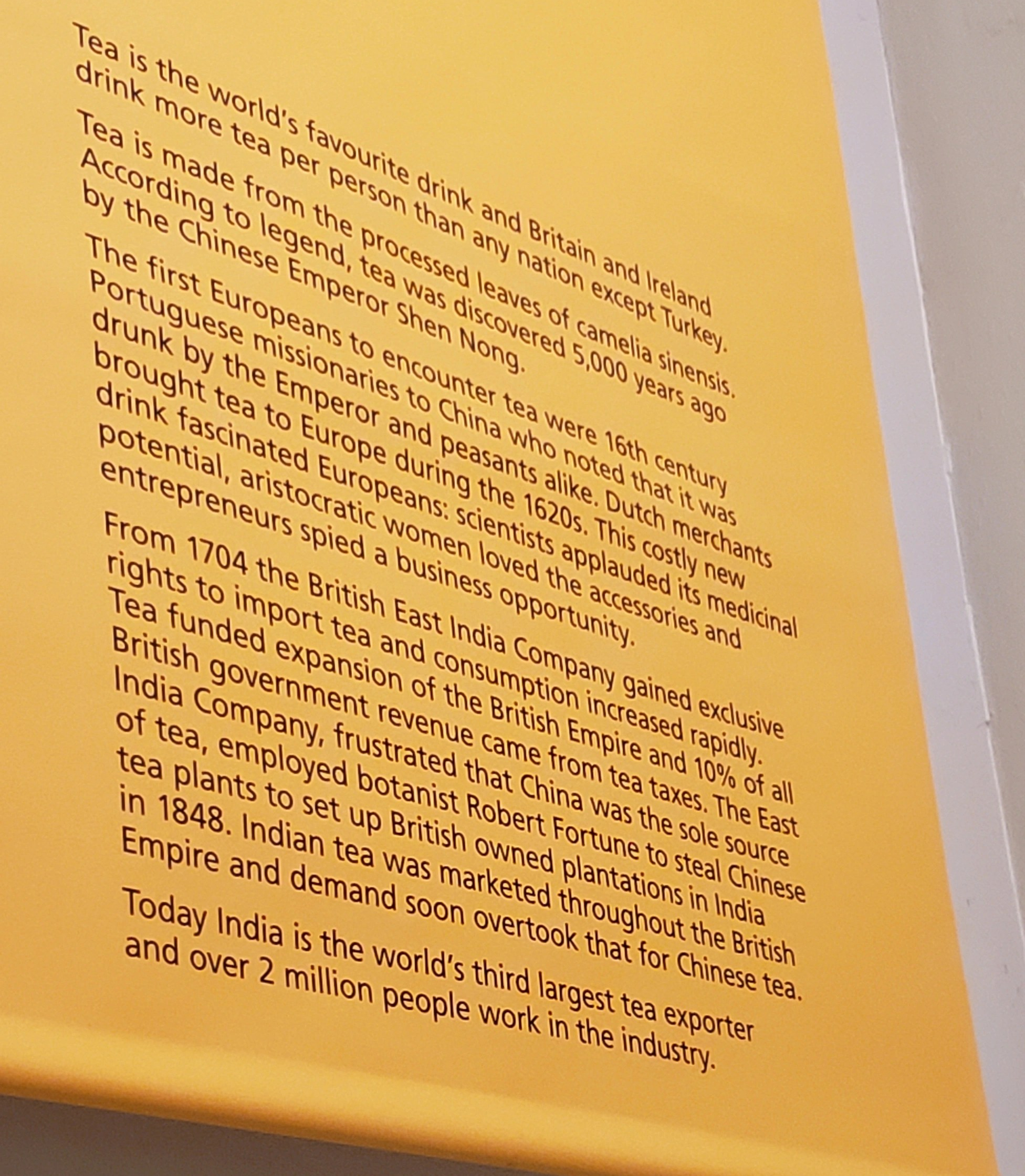 Tea is the world's favorite drink