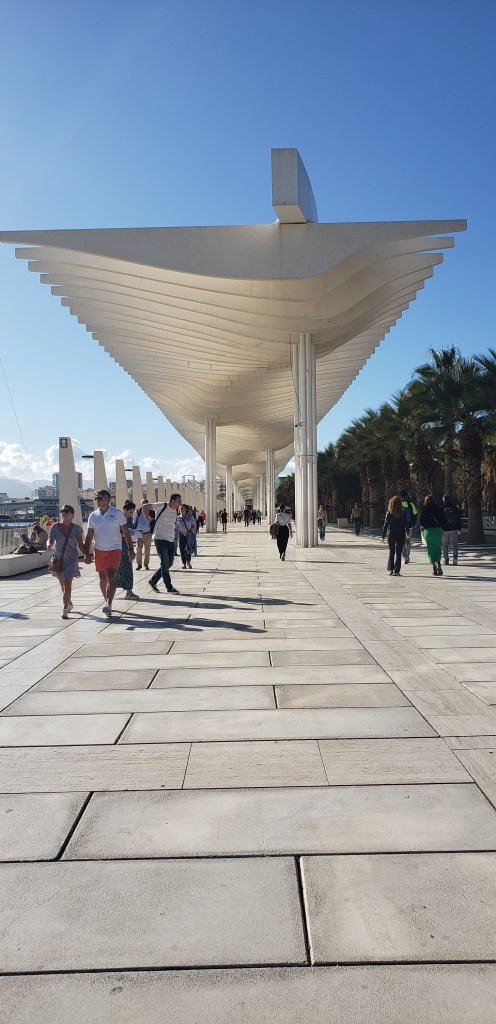 Palmeral de Las Sorpresas