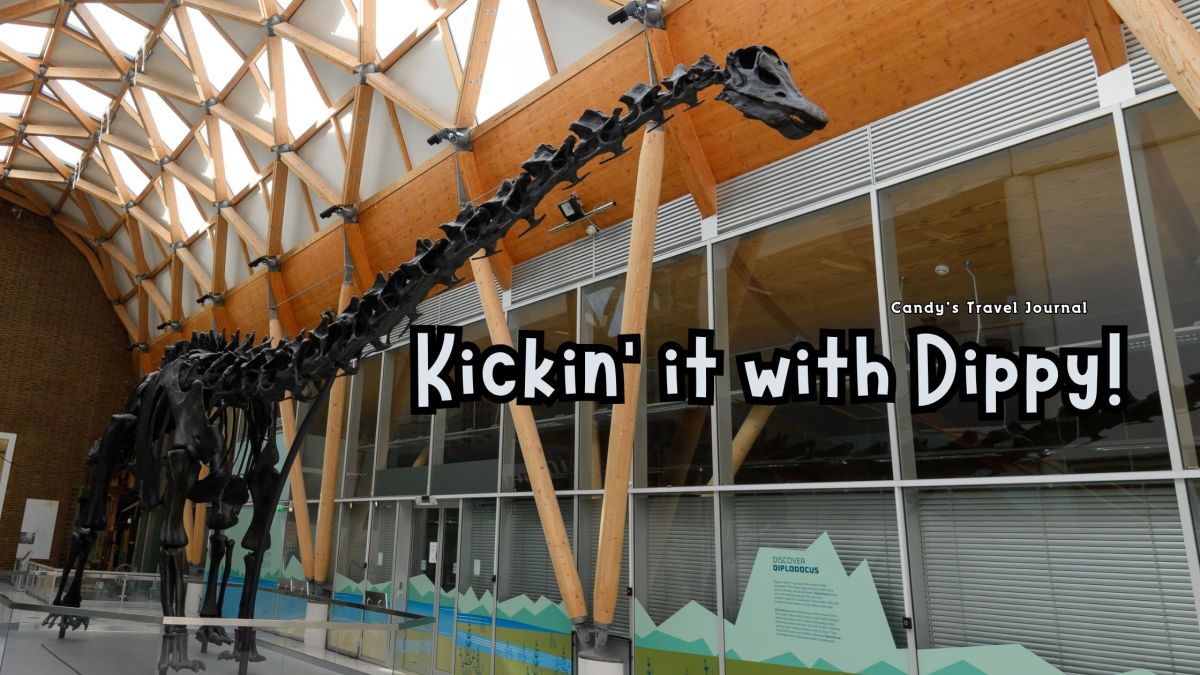 Kickin’ it with Dippy